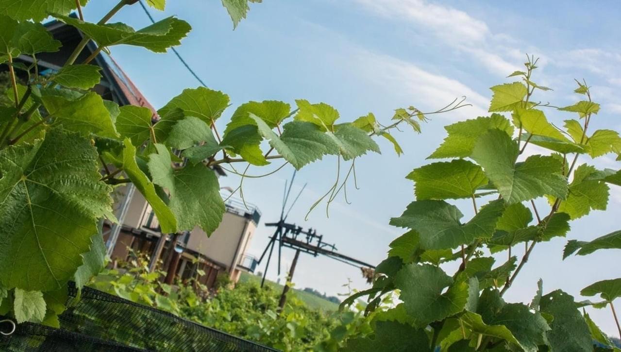 Zweytick Gaestezimmer Weingut Ratsch an der Weinstrasse Luaran gambar