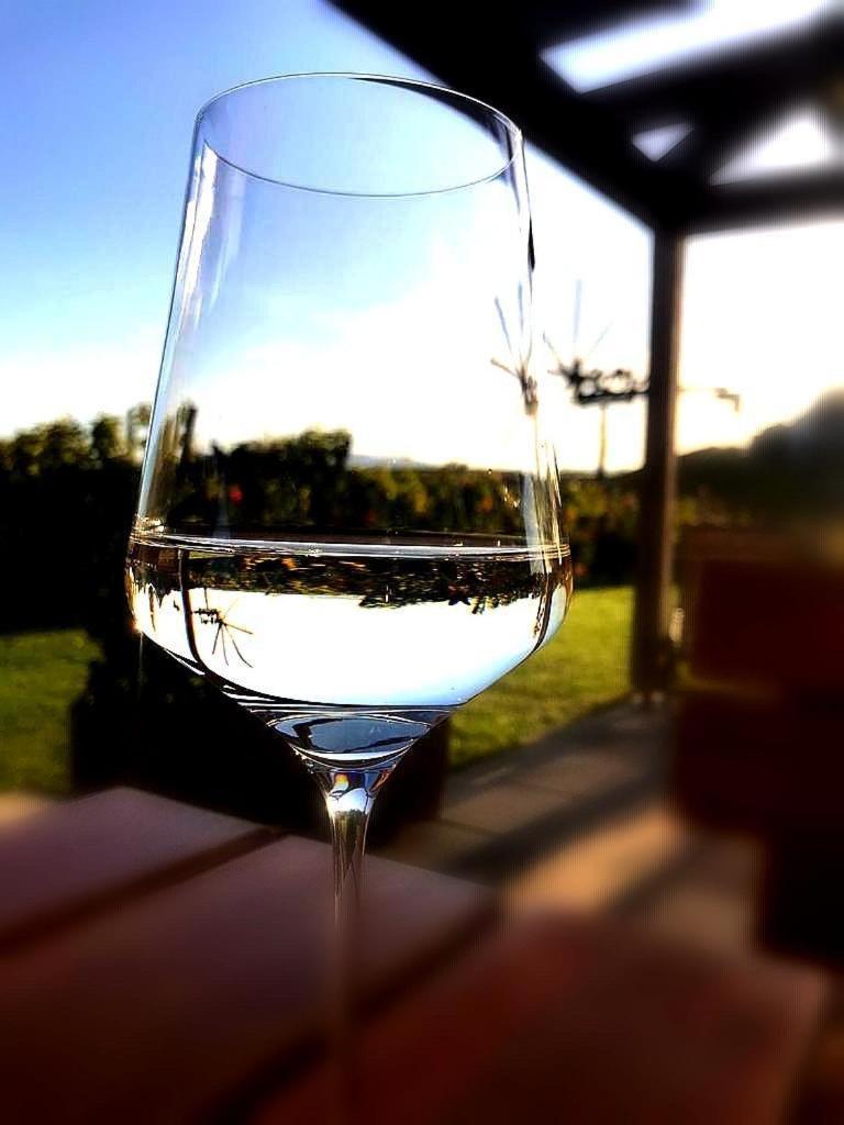 Zweytick Gaestezimmer Weingut Ratsch an der Weinstrasse Luaran gambar