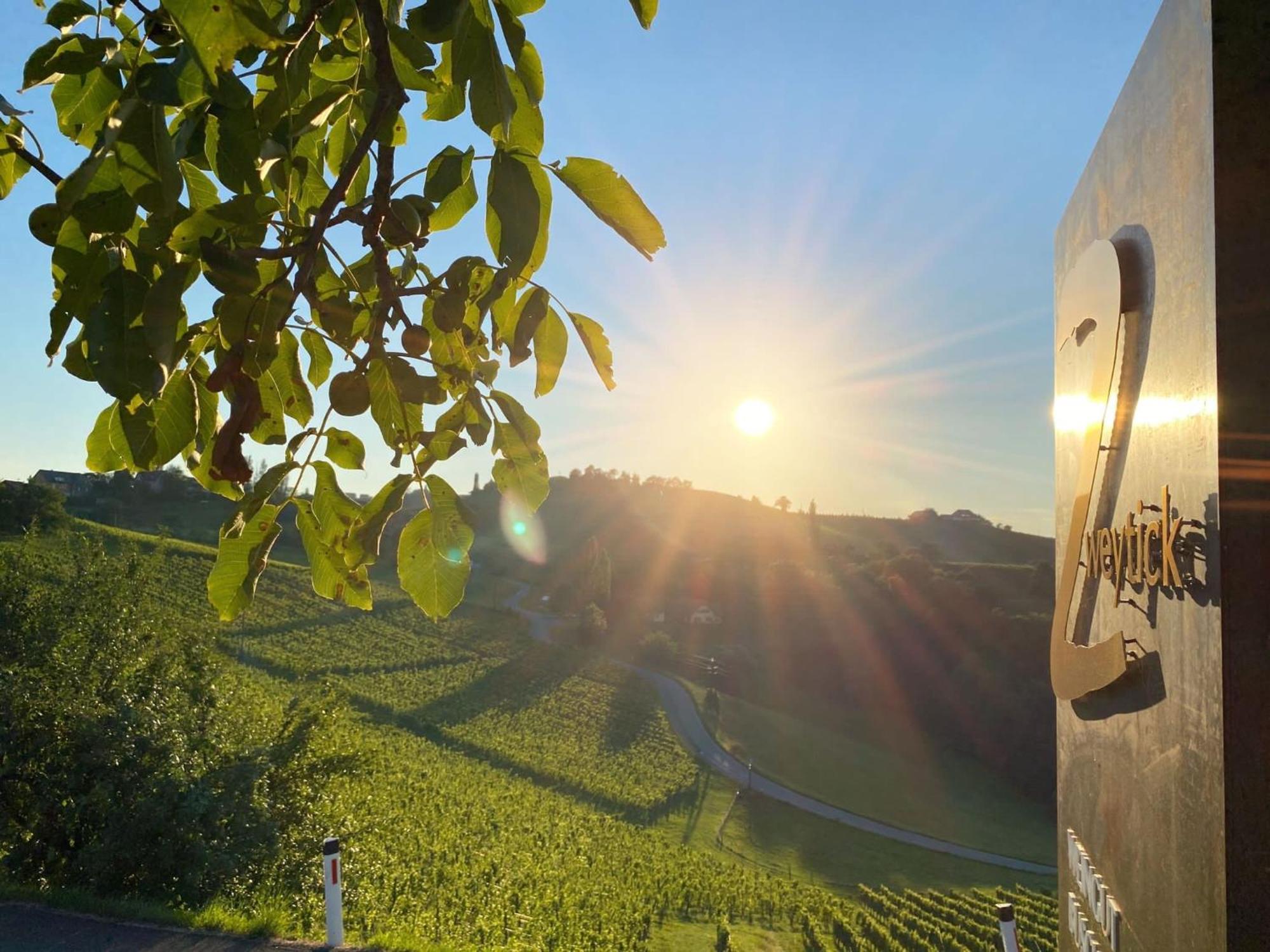 Zweytick Gaestezimmer Weingut Ratsch an der Weinstrasse Luaran gambar