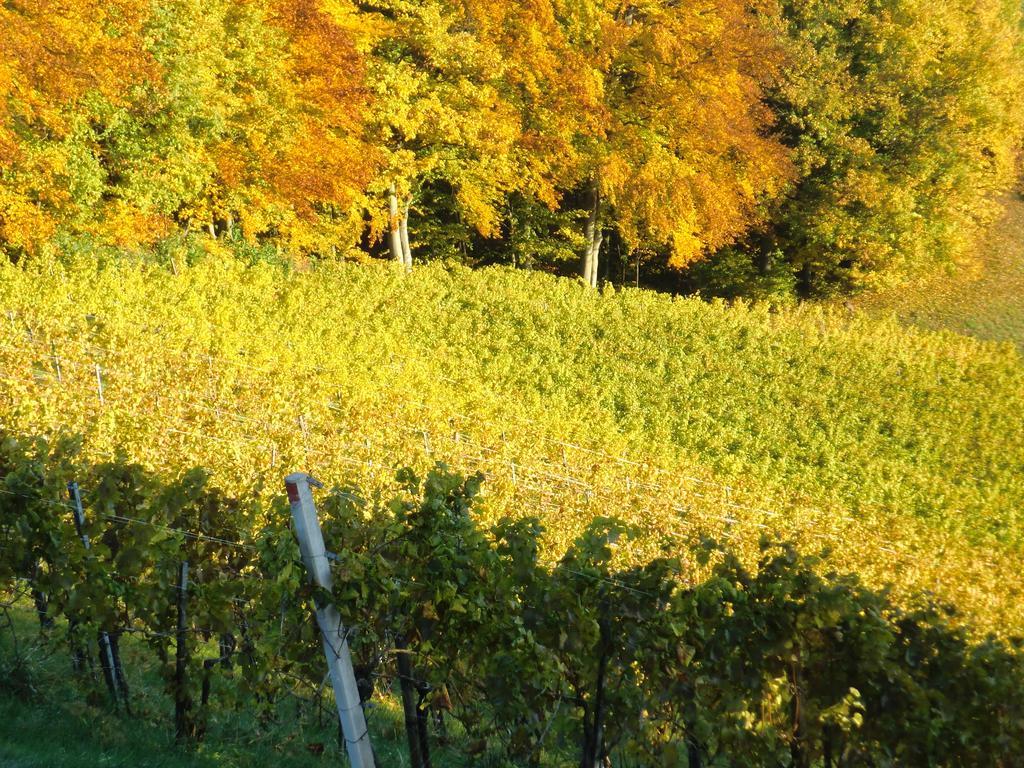 Zweytick Gaestezimmer Weingut Ratsch an der Weinstrasse Luaran gambar