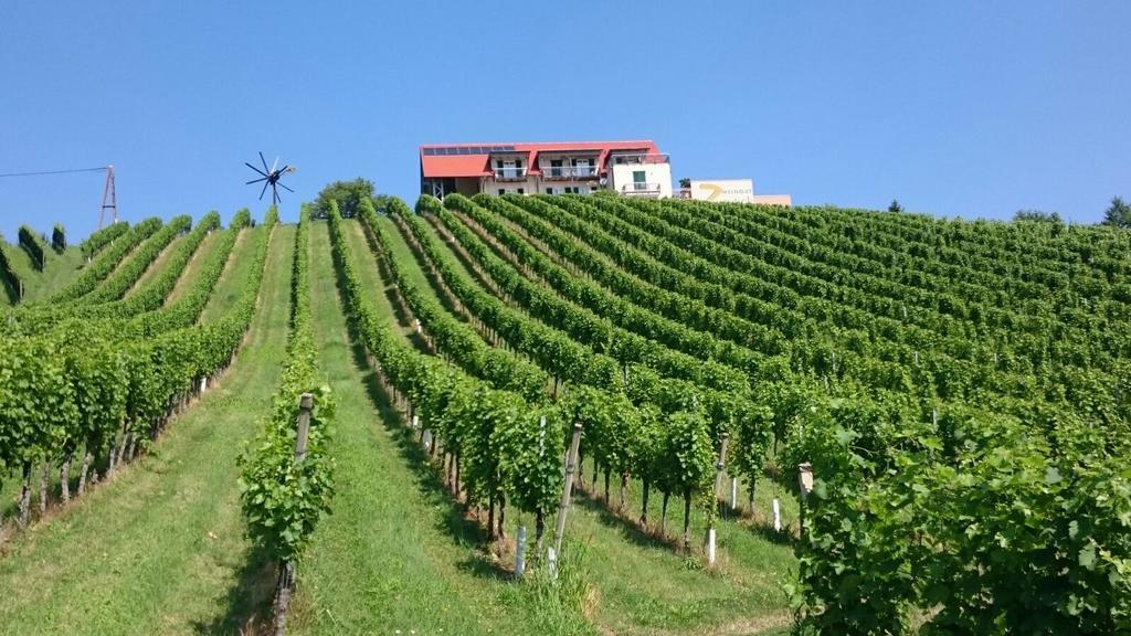 Zweytick Gaestezimmer Weingut Ratsch an der Weinstrasse Luaran gambar