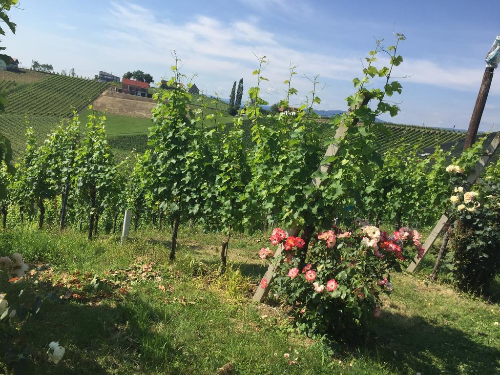 Zweytick Gaestezimmer Weingut Ratsch an der Weinstrasse Luaran gambar