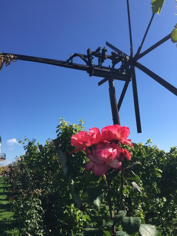 Zweytick Gaestezimmer Weingut Ratsch an der Weinstrasse Luaran gambar